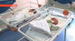 Дело о домашних родах с гибелью новорожденного будет пересмотрено 9 января в Витебске