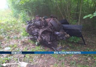 В Белыничском районе Renault врезался в дерево. Один человек погиб, двое – в больнице