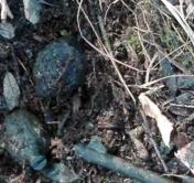 Снаряды Первой мировой войны нашли в Борисове