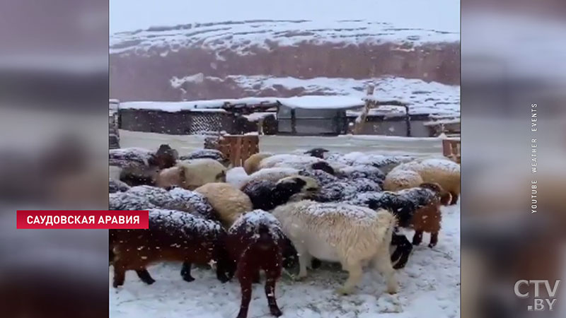 Снег в пустыне. Непогода накрыла Ближний Восток-3