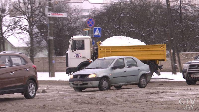 В Беларуси из-за сильного снегопада нарушалось электроснабжение в 630 населённых пунктах-7