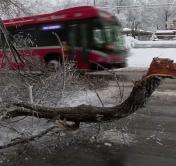 Жертвами снежного шторма в Вашингтоне стали семь человек