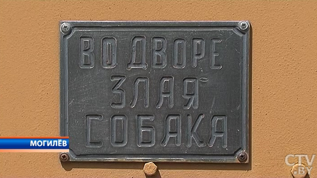 Никого никогда не кусала: домашние собаки в Могилёве покусали сотрудниц рассчётно-кассового центра -7