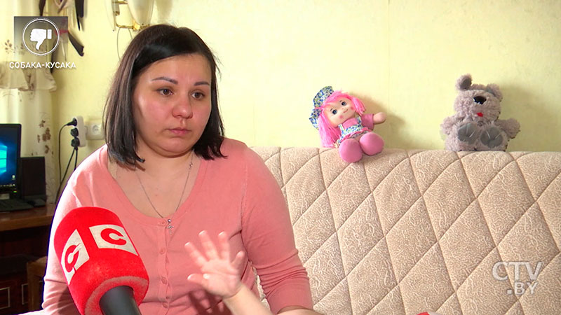 Ольга Беринцева, владелица собаки породы чешский волчак в программе «УТРО» на СТВ