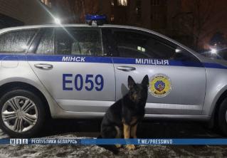 В Минске служебная собака помогла найти подозреваемого в краже из шаурменной