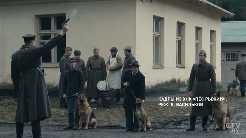 «Зритель видит живых щенков у меня в руках, и потом эти щенки летят под танк». Как снимали фильм «Пёс рыжий»-13