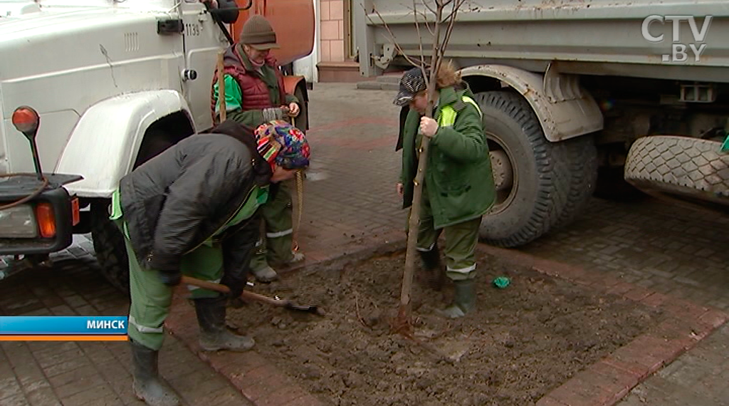 Экологическая акция, туман и новые саженцы: события в Минске 22 марта-1