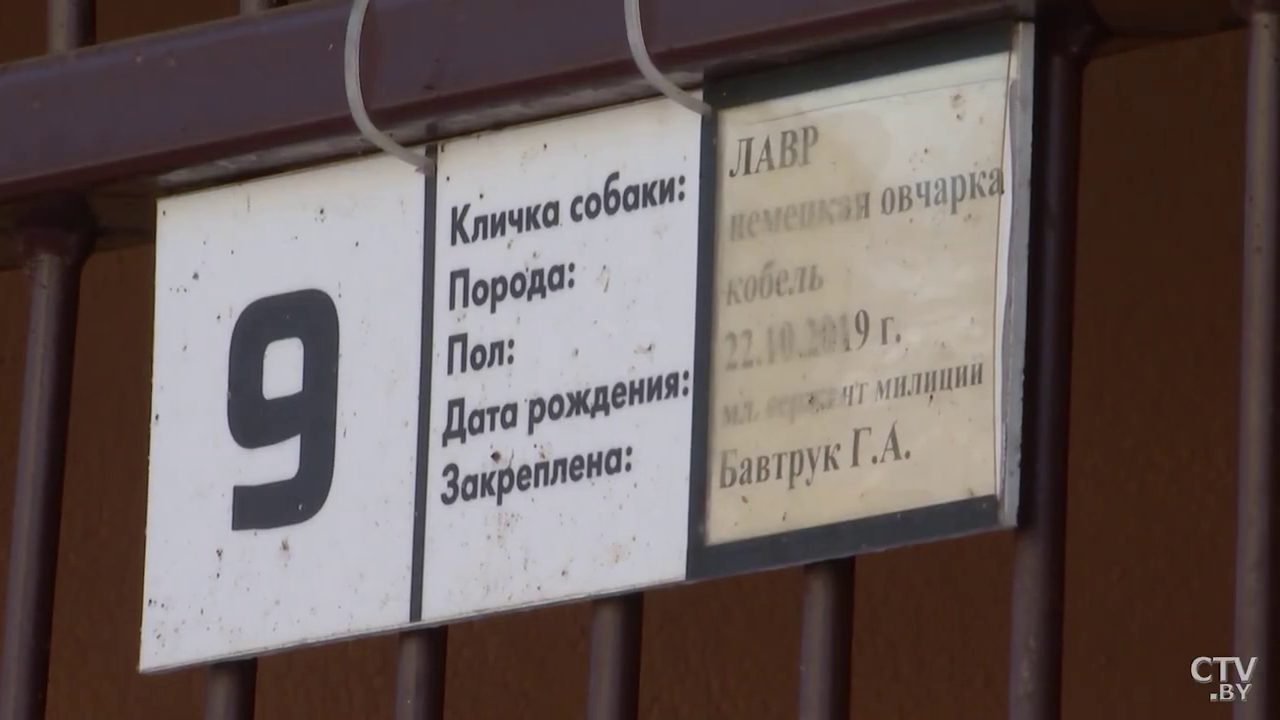 «Каждый вольер оборудован». В каких условиях живут служебные собаки?-1