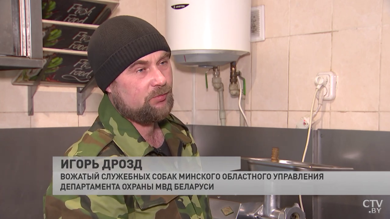 «Каждый вольер оборудован». В каких условиях живут служебные собаки?-13 «Каждый вольер оборудован». В каких условиях живут служебные собаки?-13