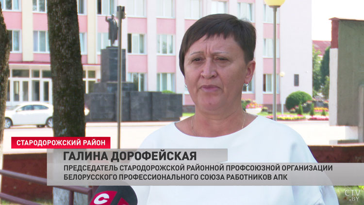 «Фантазии их безграничны». В Минской области проведут конкурс на лучшую соломенную композицию-6