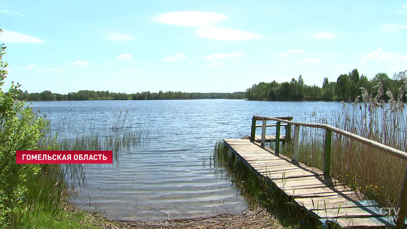 Рыбаки поймали на Припяти двухметрового сома-3