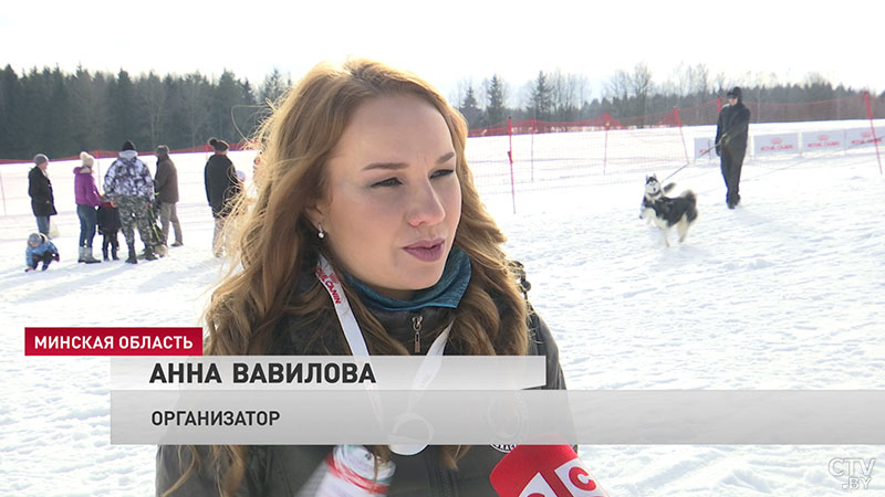 «В Беларуси только набирает обороты этот вид спорта». Соревнования ездовых собак прошли в Силичах-5