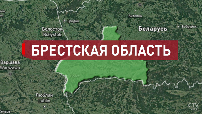 Восполнение кормовых запасов, нехватка топлива в АПК, внедрение новых технологий. Ключевые вопросы селекторного совещания у Президента-16