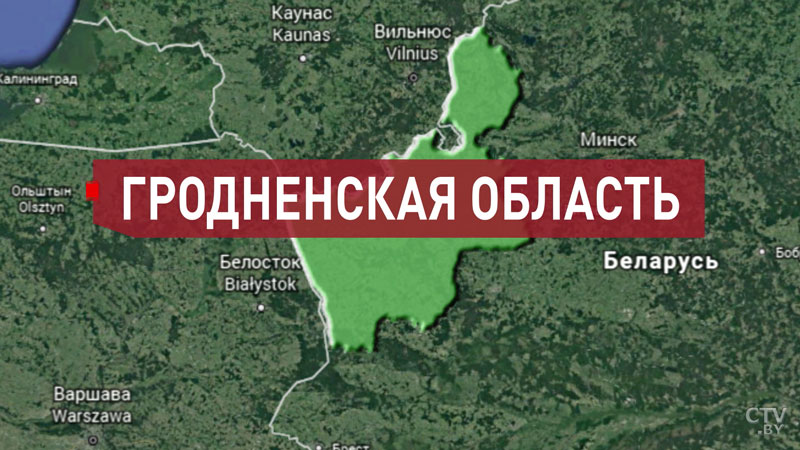 Восполнение кормовых запасов, нехватка топлива в АПК, внедрение новых технологий. Ключевые вопросы селекторного совещания у Президента-31