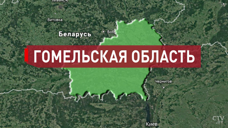 Восполнение кормовых запасов, нехватка топлива в АПК, внедрение новых технологий. Ключевые вопросы селекторного совещания у Президента-58