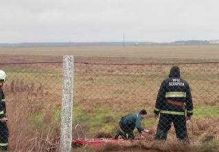 В Ивьевском районе мужчина хотел помочь увязшему в болоте телёнку и застрял 