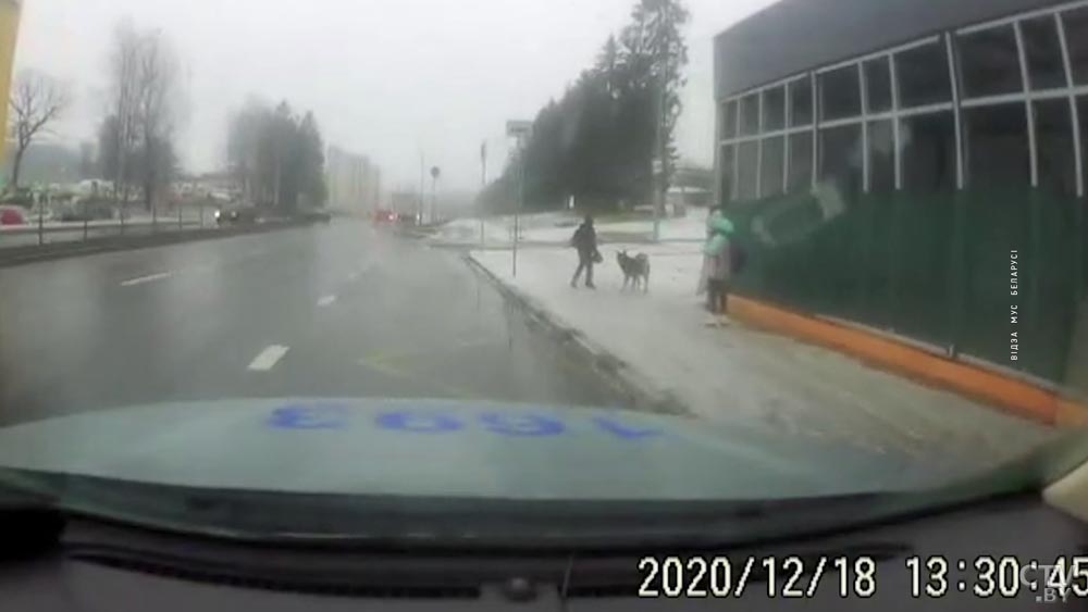 В Колодищах на ребёнка напала бездомная собака. Мальчика спас патруль Департамента охраны-1