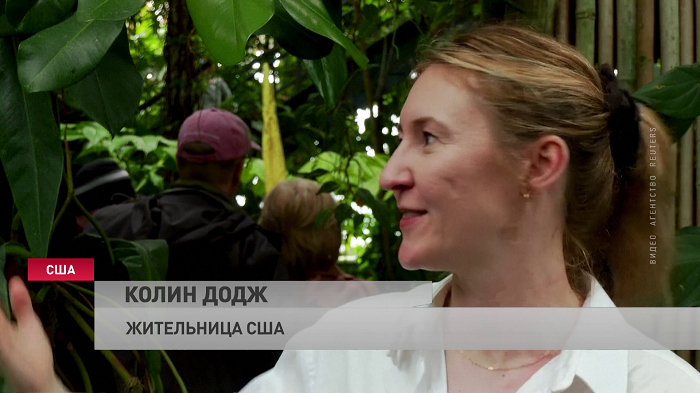«Больше всего впечатляет размер». Жители Нью-Йорка спешат увидеть необычный цветок в ботаническом саду-1