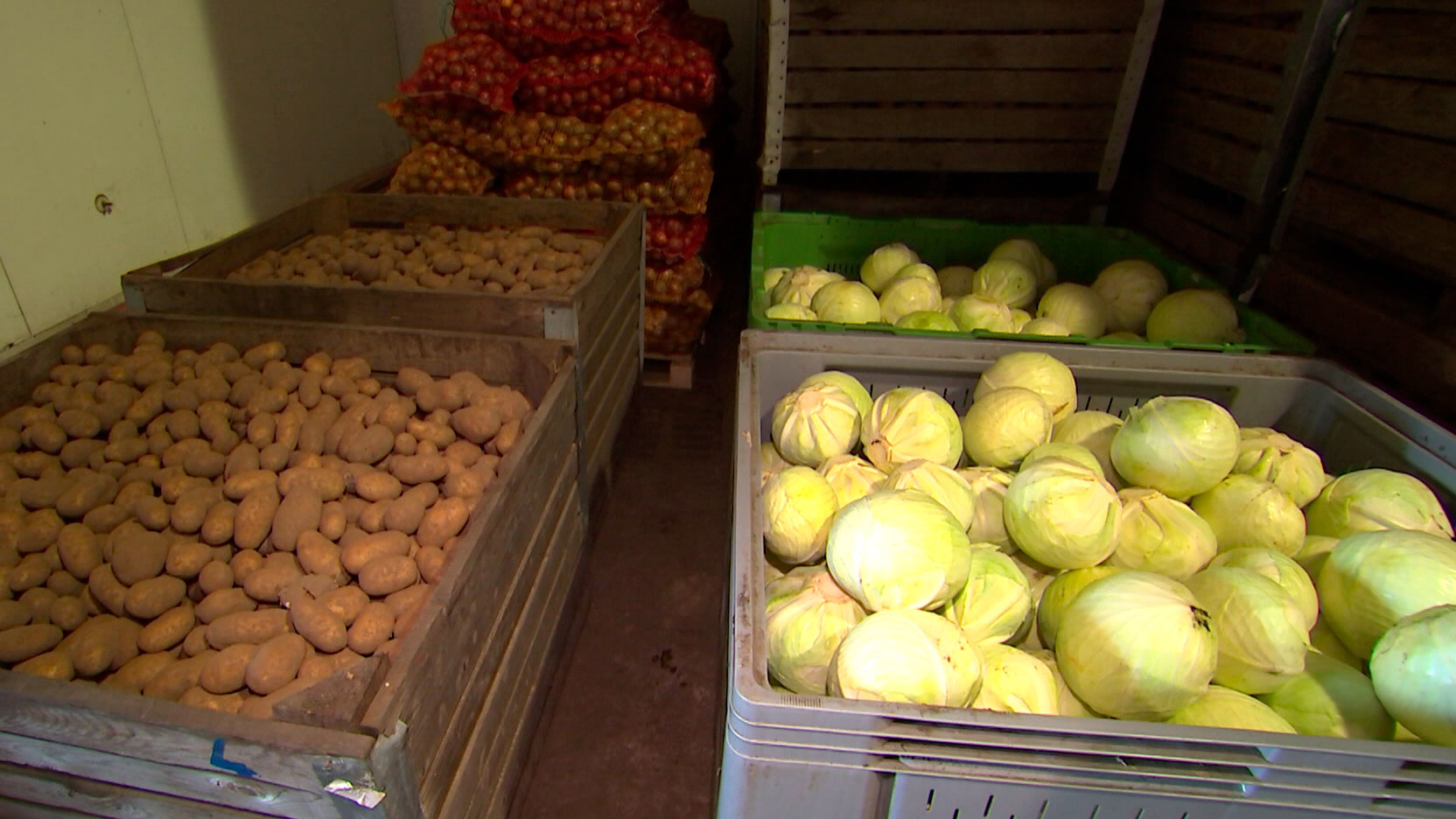 В Беларуси началась закладка сельхозпродукции в стабфонды. Куда экспортируют излишки продовольствия?