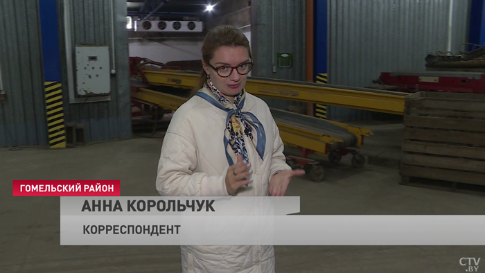 «Объём сравним с 10 бассейнами». Сколько овощей заложат в стабфонд Гомельской области?-7