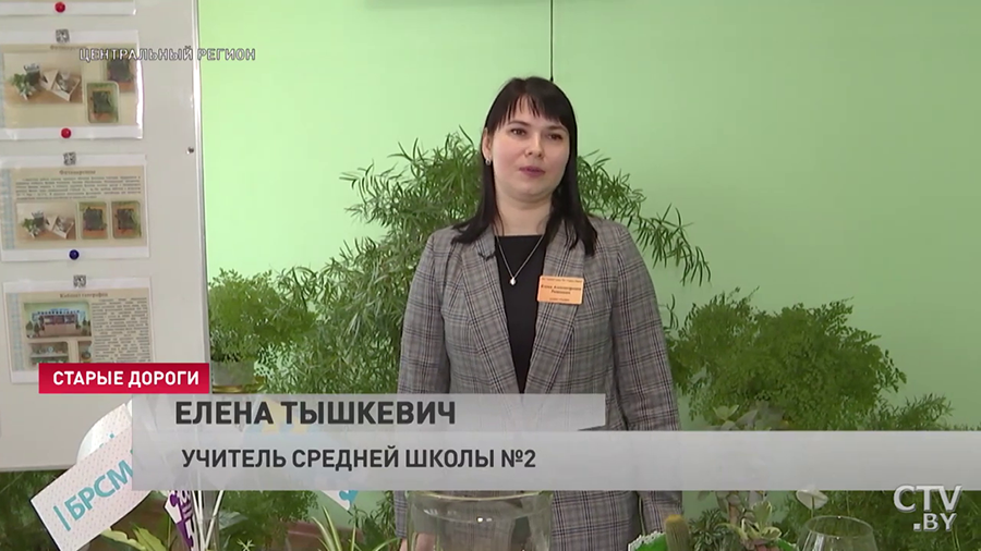 Ищете неприхотливое, но красиво растение в дом? Стабилизационный мох точно впишется в интерьер-7