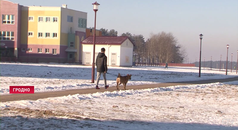 Стафф покусал ребёнка в Гродно. Понять и простить или усыпить? Мнения мамы, хозяйки и кинолога-7