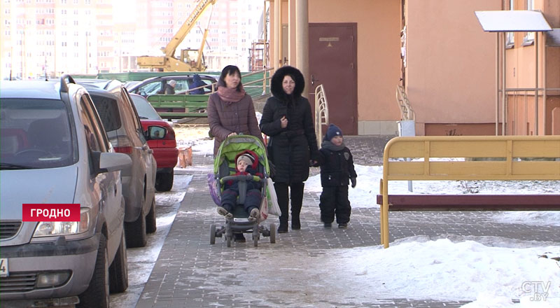 Стафф покусал ребёнка в Гродно. Понять и простить или усыпить? Мнения мамы, хозяйки и кинолога-13