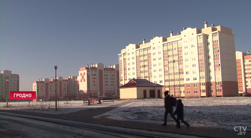 Стафф покусал ребёнка в Гродно. Понять и простить или усыпить? Мнения мамы, хозяйки и кинолога-22