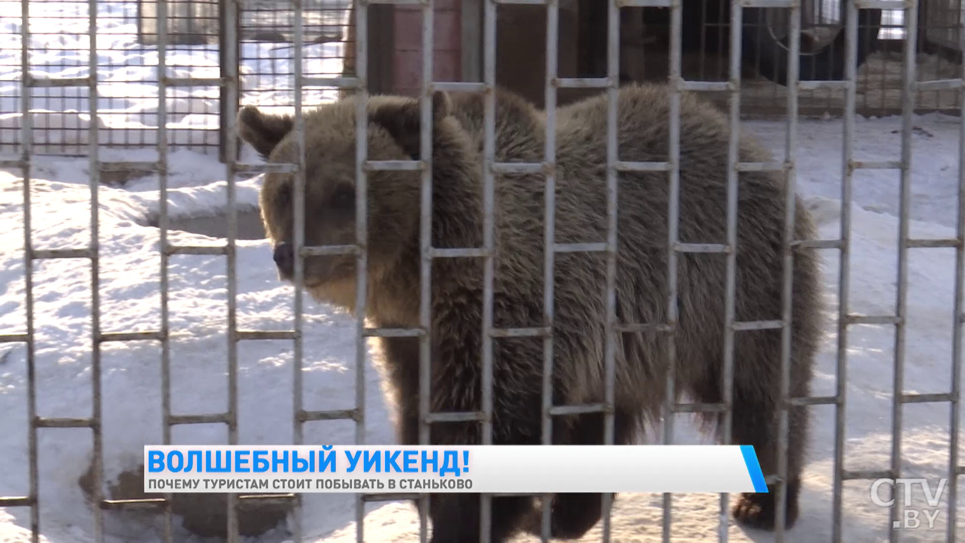 Увидеть европейских ланей и побывать в партизанском лагере. Почему ещё стоит побывать в Станьково?-13