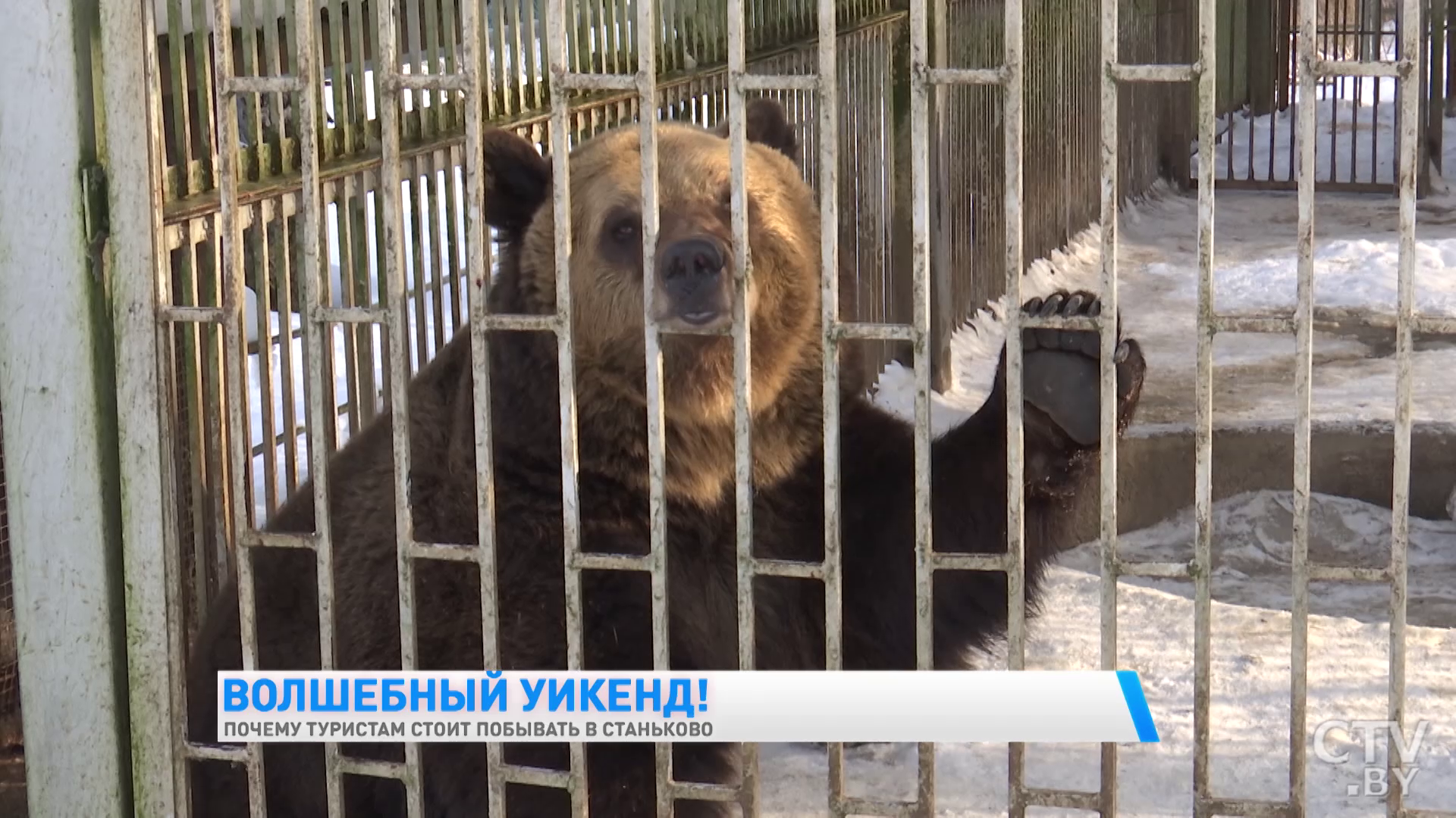 Увидеть европейских ланей и побывать в партизанском лагере. Почему ещё стоит побывать в Станьково?-16