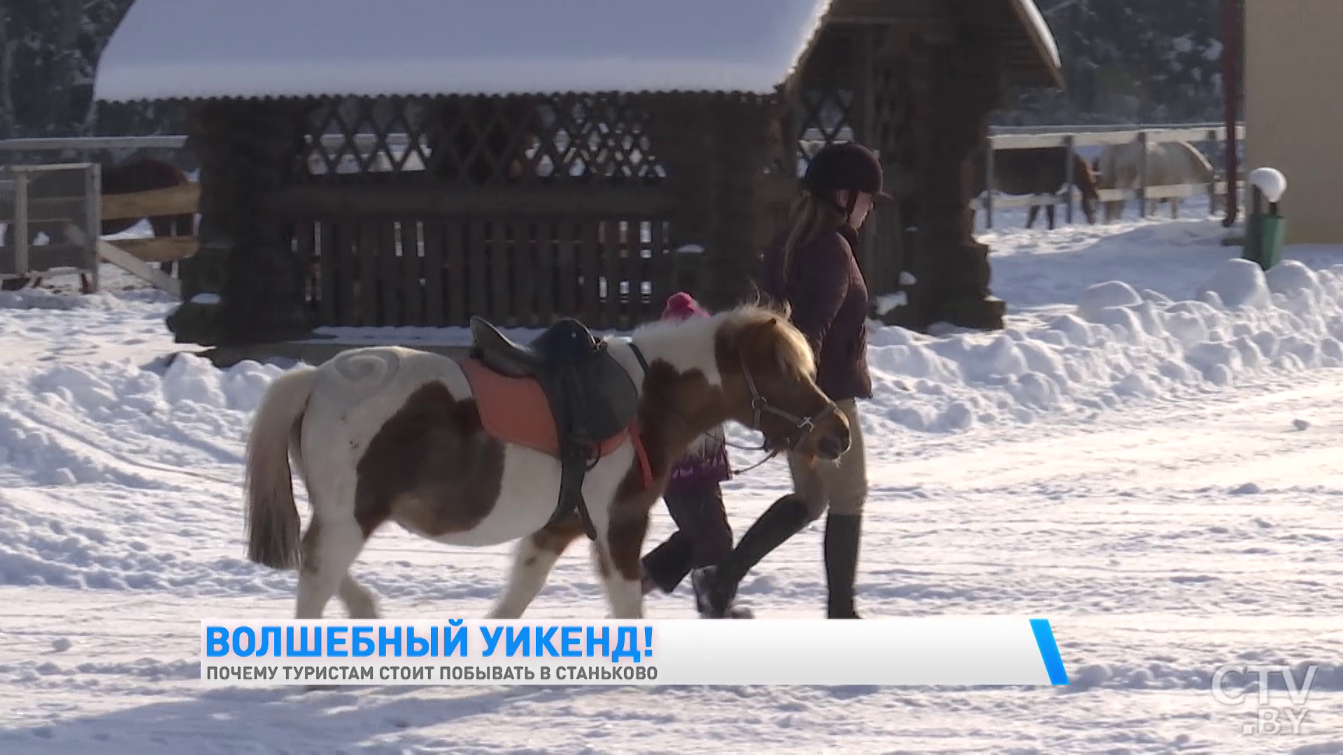 Увидеть европейских ланей и побывать в партизанском лагере. Почему ещё стоит побывать в Станьково?-28