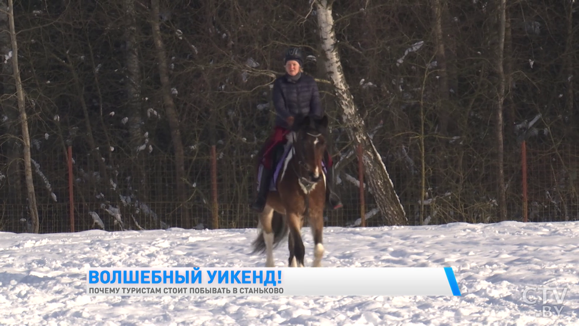 Увидеть европейских ланей и побывать в партизанском лагере. Почему ещё стоит побывать в Станьково?-31