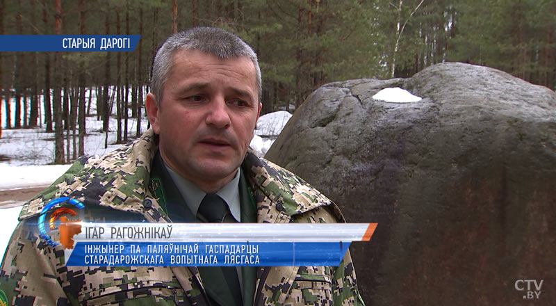 В Стародорожском лесхозе открыли уникальную 20-километровую тропу для прогулок. Чем будут удивлять туристов?-6
