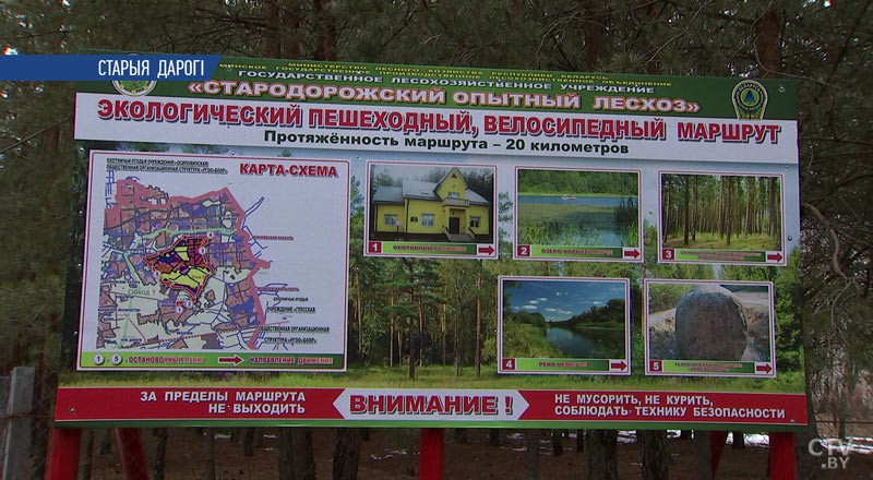 В Стародорожском лесхозе открыли уникальную 20-километровую тропу для прогулок. Чем будут удивлять туристов?-3