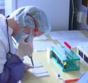Минздрав: в Беларуси выздоровели 34 023 пациента с коронавирусом