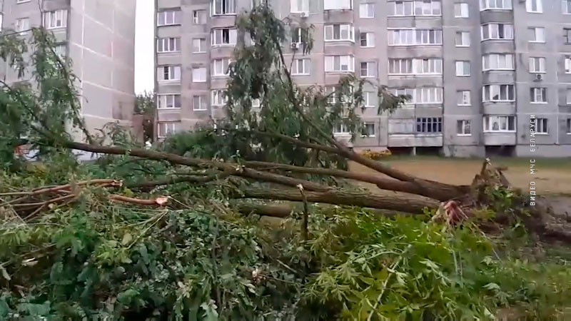 Специальные службы продолжают устранять последствия непогоды в Беларуси-7