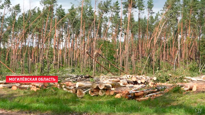 Специальные службы продолжают устранять последствия непогоды в Беларуси-1