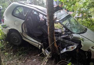 В Воложинском районе Renault врезался в дерево, пострадала пассажирка 
