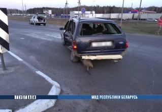 В Бресте при столкновении иномарок пострадали двое детей и женщина 