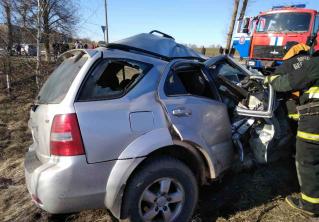 В Толочинском районе в аварии с лесовозом погиб водитель Kia