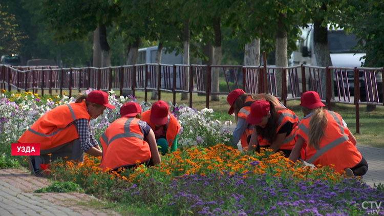 Более 3,5 тысячи молодых людей будут трудоустроены в студотряды в Минской области-1