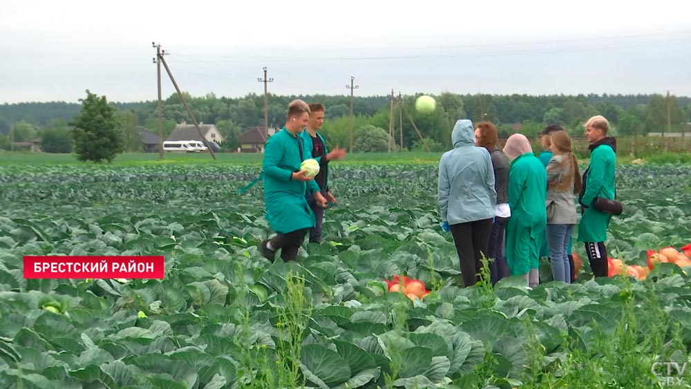 «Работа, в принципе, несложная». Чем занимаются школьники в сельскохозяйственных студотрядах?-16