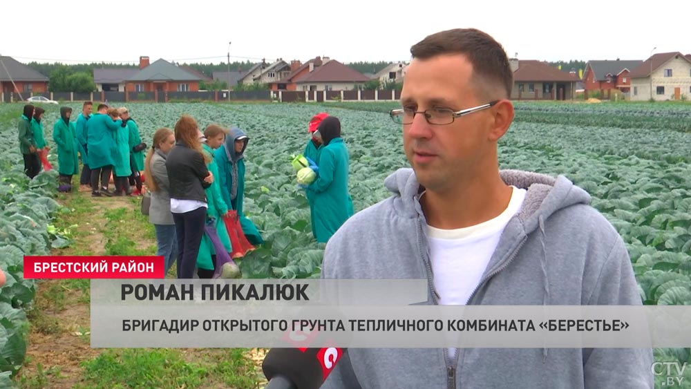 «Работа, в принципе, несложная». Чем занимаются школьники в сельскохозяйственных студотрядах?-7