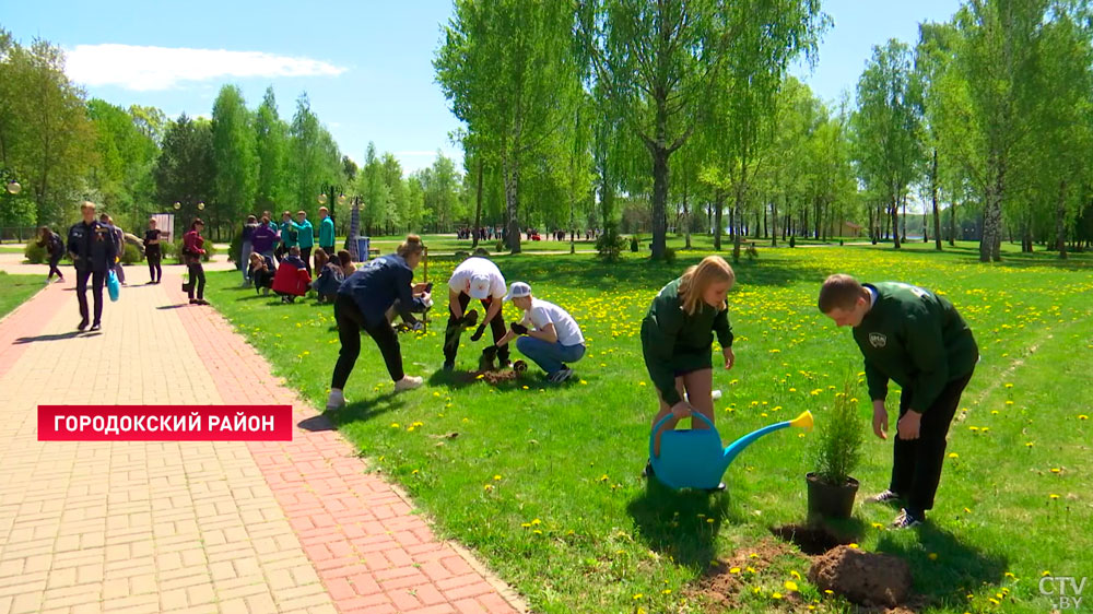 «Очень много людей, которые горят этим делом». Более 5000 человек трудоустроят в студотряды Витебской области-1