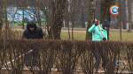 Субботник в Беларуси: эту весеннюю традицию поддержали тысячи жителей нашей страны
