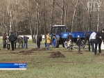 Около 7 млрд рублей заработали жители Минской области на республиканском субботнике