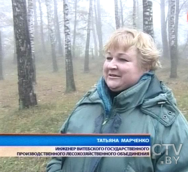 Более 2 тысяч человек вышли на уборку лесопарковых территорий по всей Беларуси
