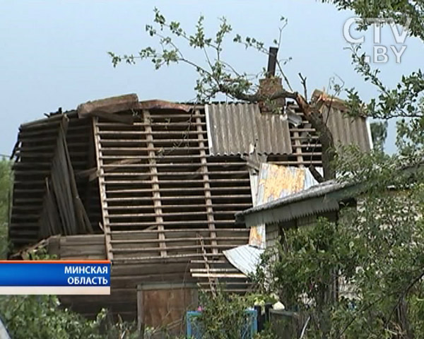 «Я не люблю, когда на улице разбросаны листья, поэтому я их убираю»: почему минчане выходит на субботники-4