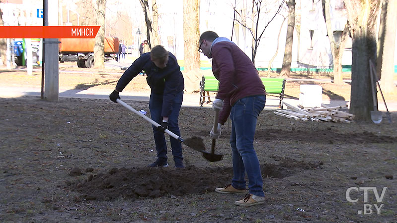 Как за несколько часов в Минске появился первый в городе Парк семейных деревьев? Репортаж СТВ-25