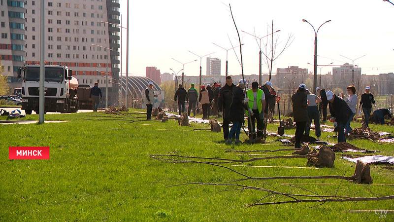 В Минтруда напомнили об основных мерах безопасности при проведении субботника-7